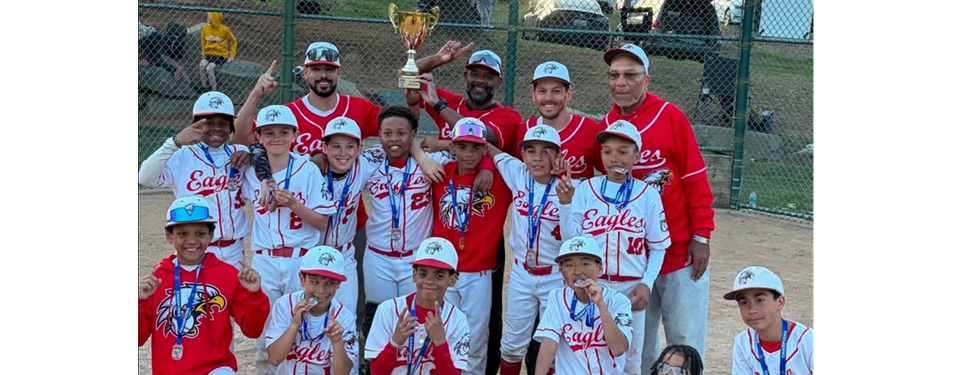 Savage Travel Baseball